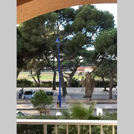 Apartment Climatise Avec Wifi Au Calme Sur Le Port.